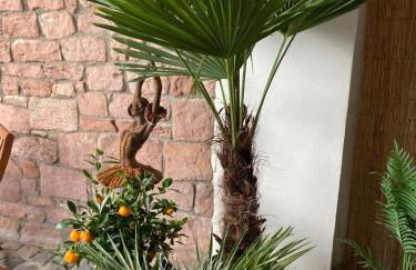 Gemütlich & einzigartig: Altbauloft in Edenkoben - Foto 1