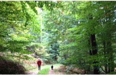 Ferienhaus La Meu - Foto 20