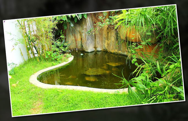 Kandy Holiday Residence - Foto 49