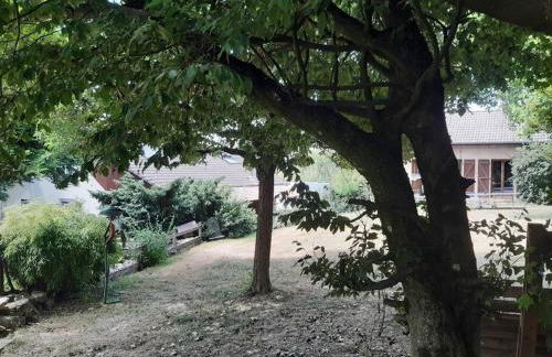 Gîte de la P'tite Rainette - Foto 14