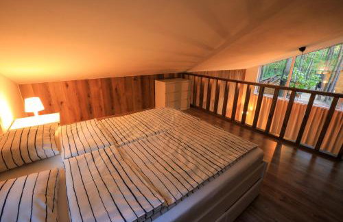 Bizon Village - Foto 42