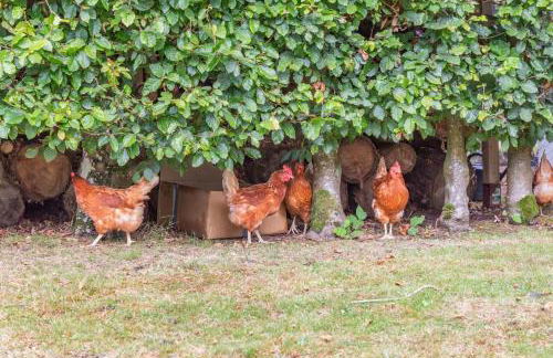 8 Bed in Invergordon oc-p32711 - Foto 48