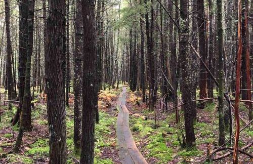 Deer Valley Retreat, Lovely Log Cabin with Fireplace & Garden Views- Perfect for a Relaxing Getaway! - Foto 58