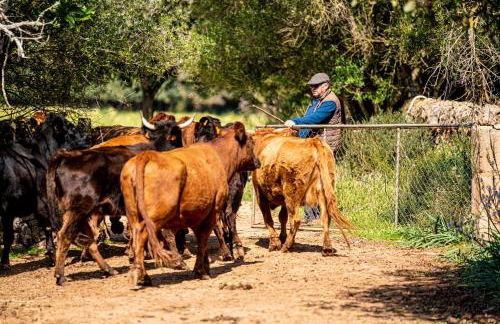 Finca Agroturismo Son Menut - Foto 80