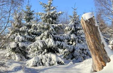 Chalet HAUS WANDERLUST - Foto 50