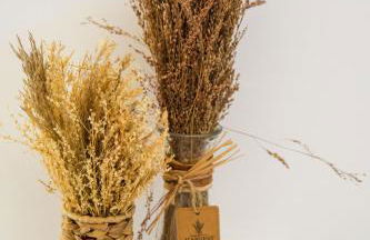 Trullo Natù - private villa - Foto 15