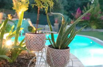 The Red Bougainvillea Apartments - Foto 80