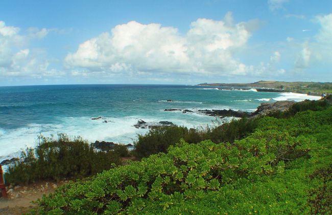 Kapalua Bay Villas 23b1 - Foto 45