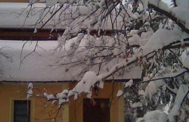 Agriturismo le Spighe - Fattoria Bertaccini - Foto 111