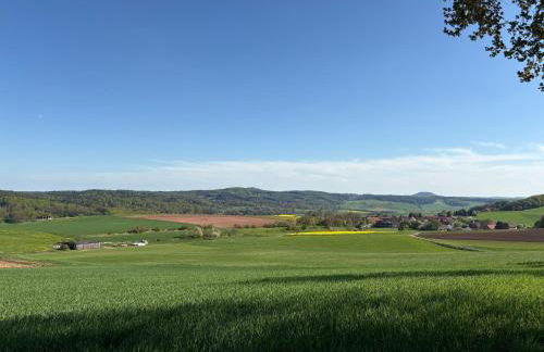 Ferienresort Weidelbach - Foto 31