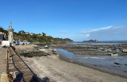 Cancale, vue mer, accès direct sur la baie du Mont-Saint-Michel - Photo 34