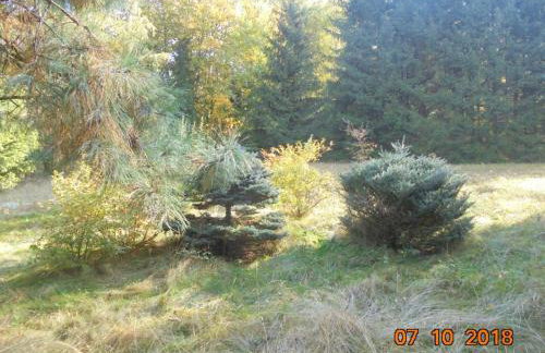 Wójtówka 16 - Foto 16