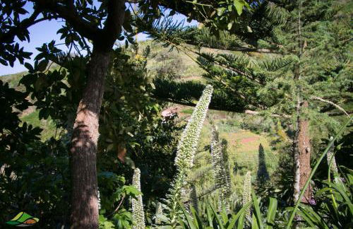 Cuevas De Barreto - Foto 44