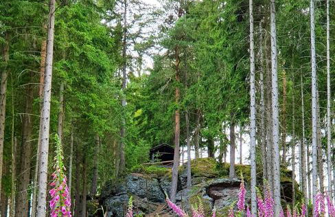 schöne ruhige Ferienwohnung - Foto 13