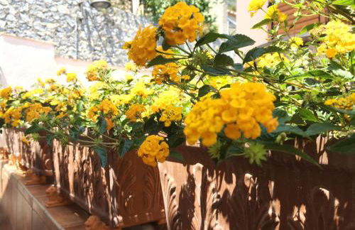 Lo Sguardo sull' Infinito - Foto 7