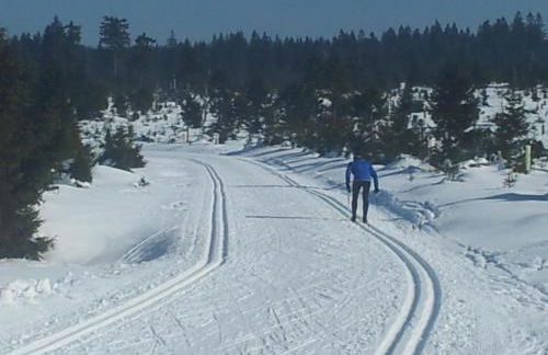 Apartment Fewo Hirschkopf by Interhome - Foto 8