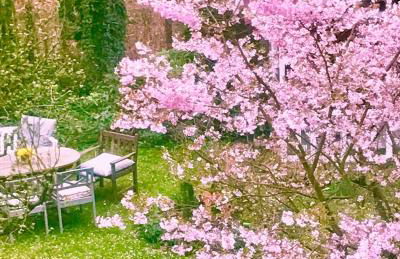 Studio im Haus Amselgarten - Foto 13