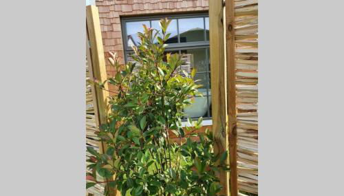 Tiny Loft (Haus) im Südhessischen Ried - Foto 2