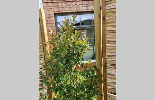 Tiny Loft (Haus) im Südhessischen Ried - Foto 2