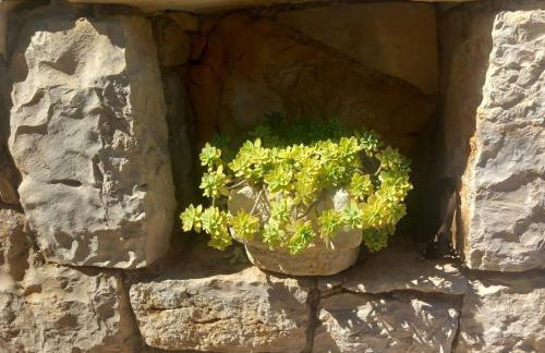 Seaside house for families with children Skrivena Luka, Lastovo - 24059 - Foto 13