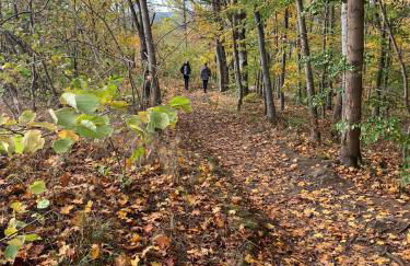 Komfortables Ferienhaus in Lichtenberg bei Hof im Frankenwald 400m vom See nahe Bad Steben - Foto 24