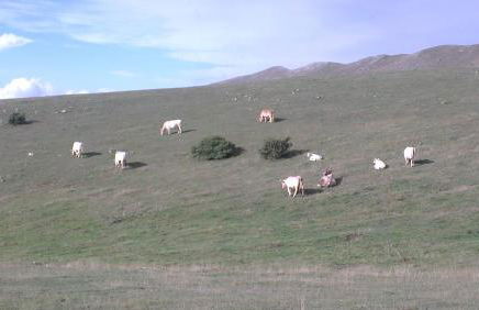 Casa Galoppa - Foto 45