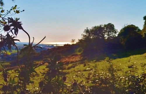 Sea Moss Cabin - Foto 72