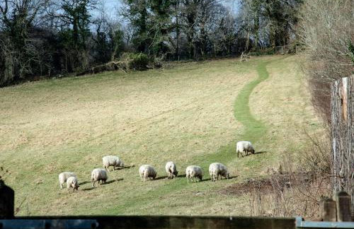 Tuckenhay, Edgecombe Barn- Hfu - Photo 42