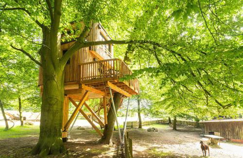 Heide Ferien - Hof Bockelmann - Foto 14