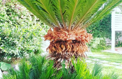 Villa Losanna - Foto 15