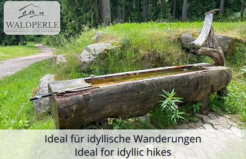 Exklusives 5-Sterne Apartment Waldperle mit Indoor-Pool, Sauna, top Lage und Ausblick in die Natur, Hunde willkommen - Foto 23