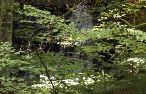 Ferienhaus-Hotel "Zur Grünen Oase" - Foto 65