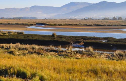 Apartamento Camino de la costa - Foto 39