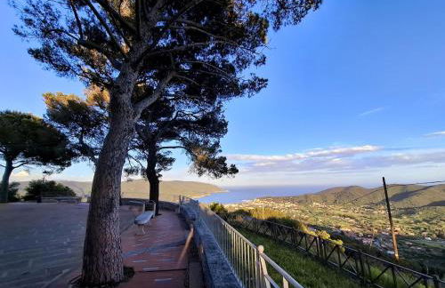 Al Campanile - Foto 14