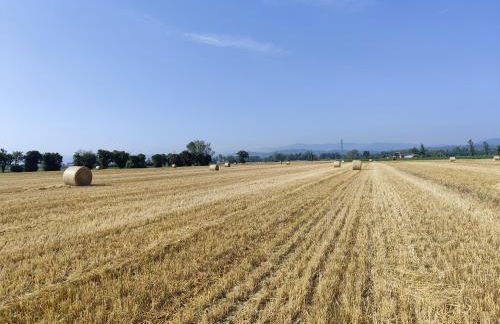 Casa del Contadino - Photo 29