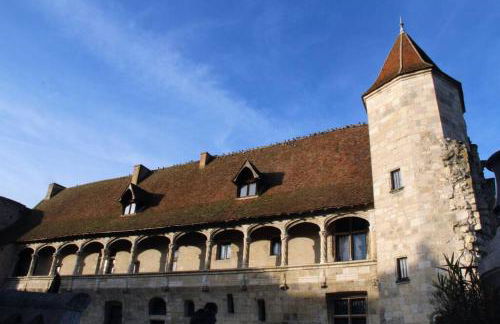 Les Gîtes du château - 2 Magnifiques Appartements face au château Henri IV - Foto 15