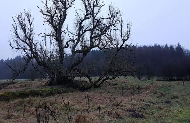 4 Person Holiday Home in Ans By - Foto 22