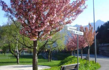 La corte del pane - Foto 59