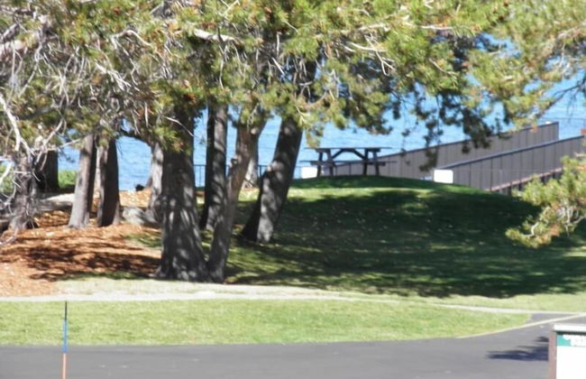 357 Ala-Wai Unit 209 - Foto 15