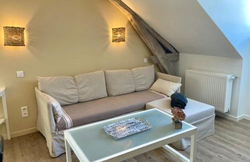 La maison Virginie appartements de 1 à 5 pers cosy central parking gratuit linge fibre proximité port lac canal piscine - Photo 34