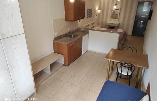 Blue Sky Apartments - Photo 79