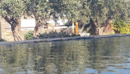 Tinos Blend Suites - Foto 3, Garden view