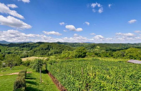 Awesome Home In Jalzabet With Kitchen - Foto 24