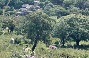 vakantiewoning Emponse 7 - Foto 35