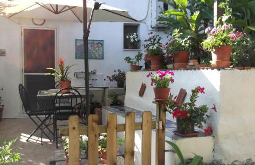 Le Mimose - Photo 42