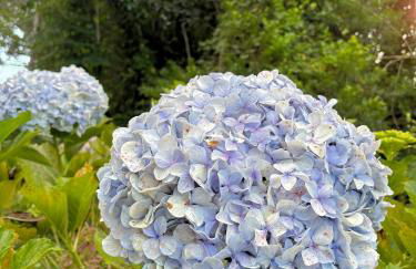 Duplex com vista espetacular no Morro do Elefante! - Foto 37