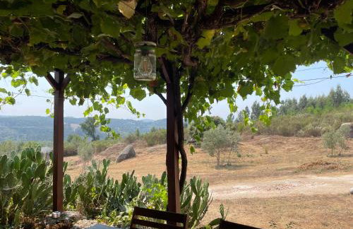Quinta do Sobral de São Geraldo - Foto 36