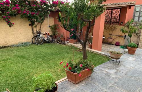 BougainVilla - Foto 27