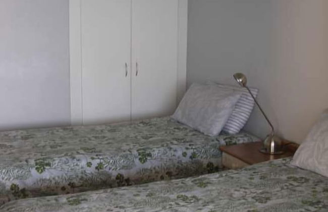 Lazy Lizard - Foto 11