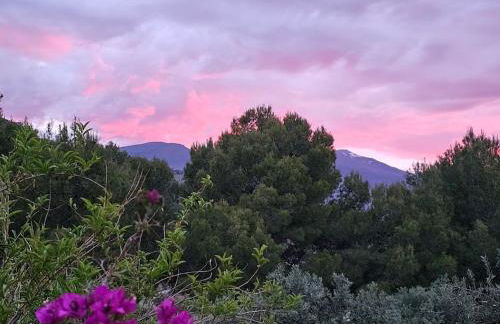 Villa Finca el Carril - Foto 32